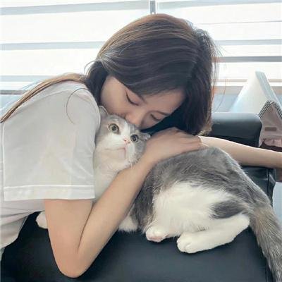 营救野猪队